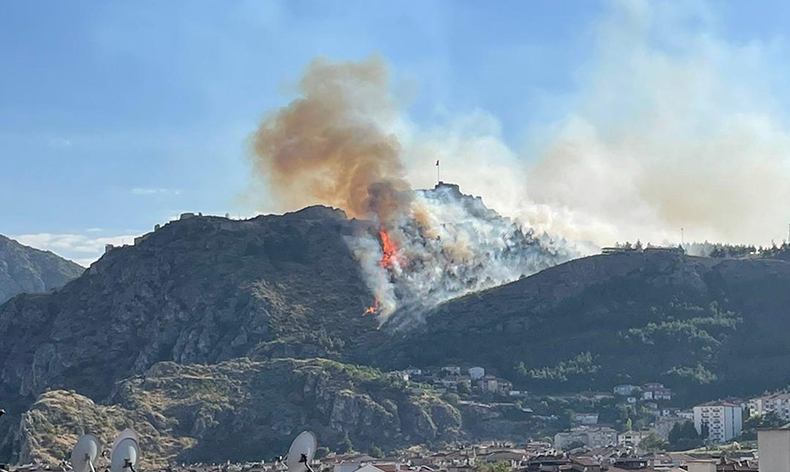 Amasya Kalesi’nde ormanlık alanda yangın