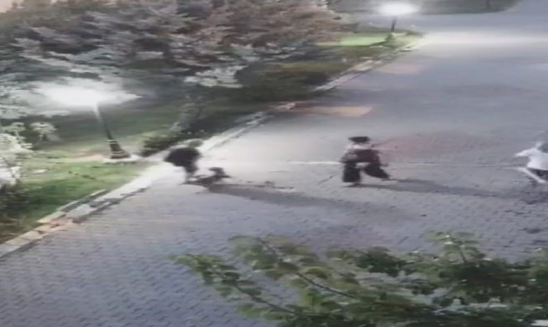 Yaşlı kadına köpek saldırdı