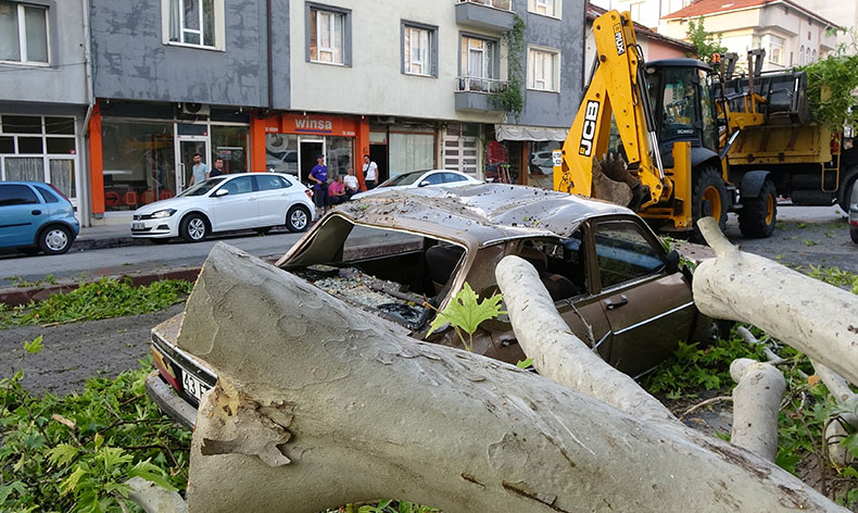 Asırlık ağaç hasar oluşturdu