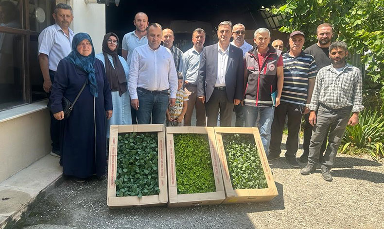 Çiftçilere 80 bin fide dağıtıldı