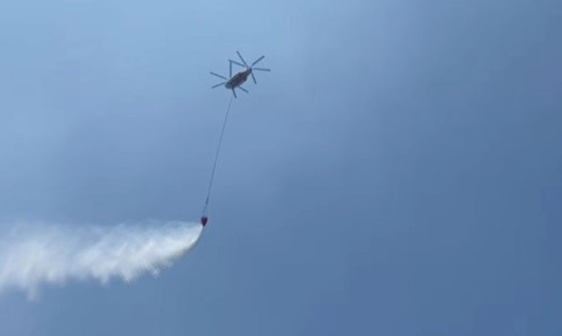 İzmir’de makilik alanda yangın
