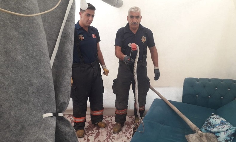 Çadıra giren 2 metre uzunluğundaki yılan korkuttu