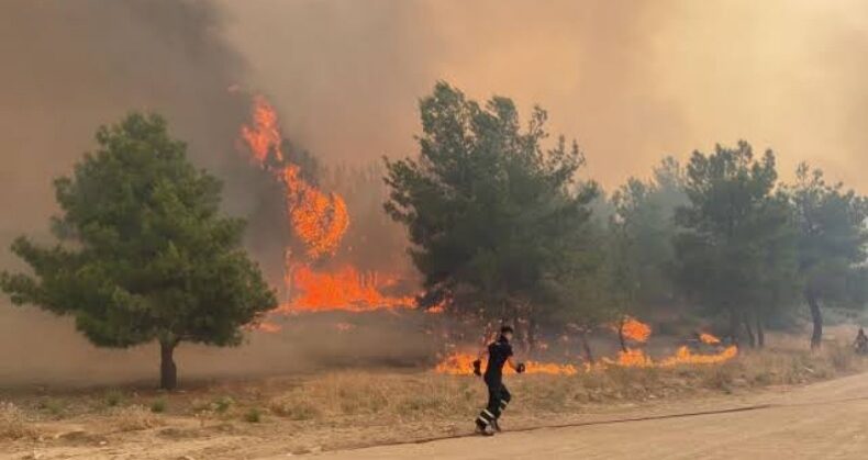 Çanakkale’de çıkan yangın devam ediyor
