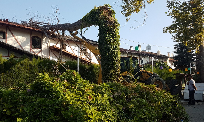 Ağaç villanın üzerine devrildi