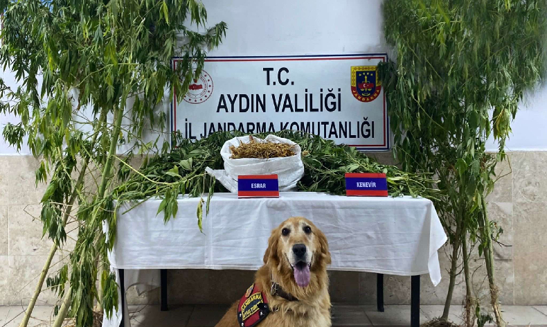 Nazilli’de uyuşturucu operasyonu