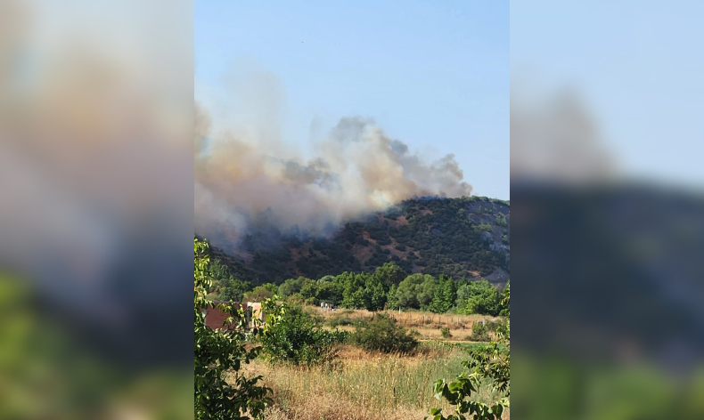 Araçta başladı ormana sıçradı