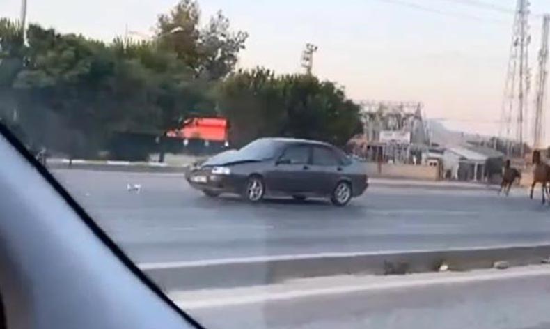 Çevre yolunda başıboş at otomobile çarptı