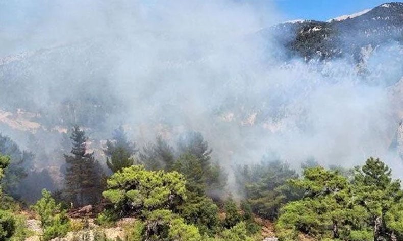 Antalya ve Muğla’da orman yangını
