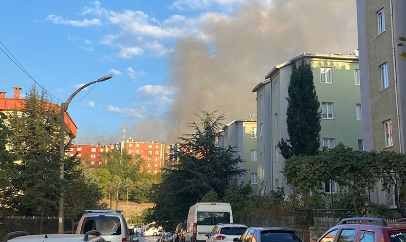 Bursa’da orman yangını