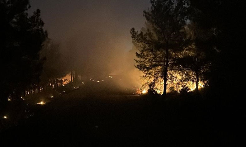 İzmir’de ormanlık alanda yangın