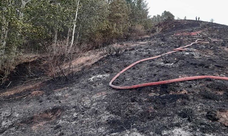 Gümüşhane’de iki köyde yangın paniği