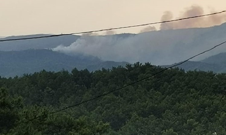 Marmaris’te yıldırım yangını