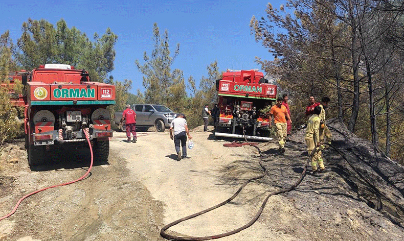 Adana’da orman yangını söndürüldü