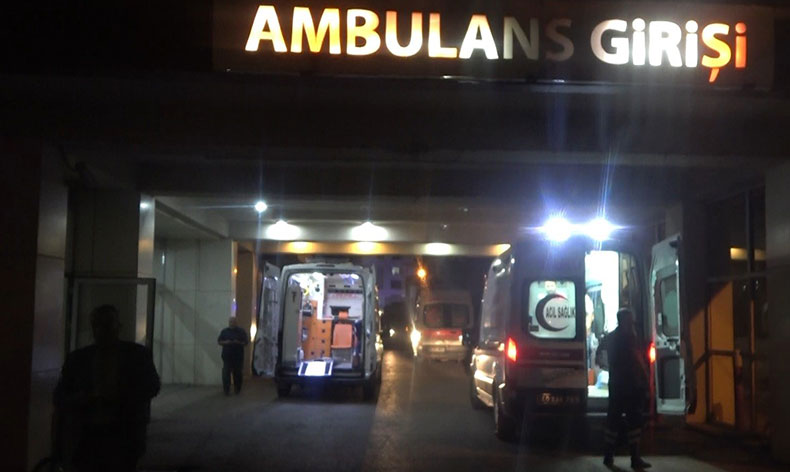 Armut toplarken ağaçtan düştü