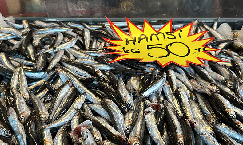 150 liraya kadar çıkan hamsi, 50 liraya düştü