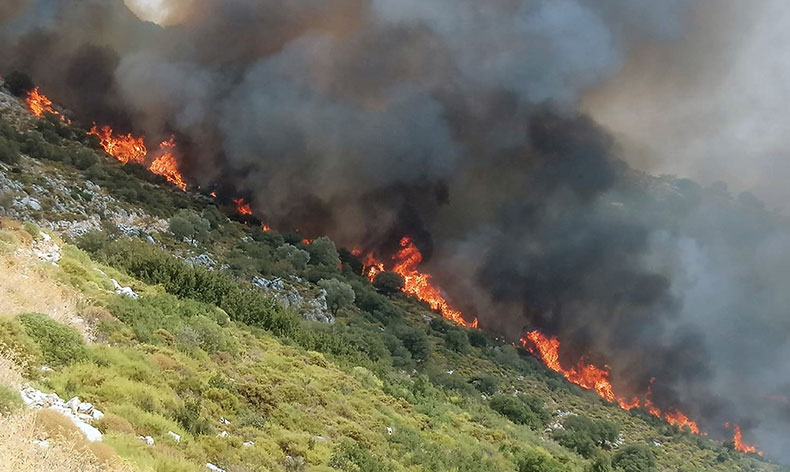 Muğla’da orman yangını