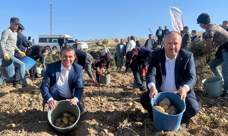 Nevşehir’de patates hasadı başladı