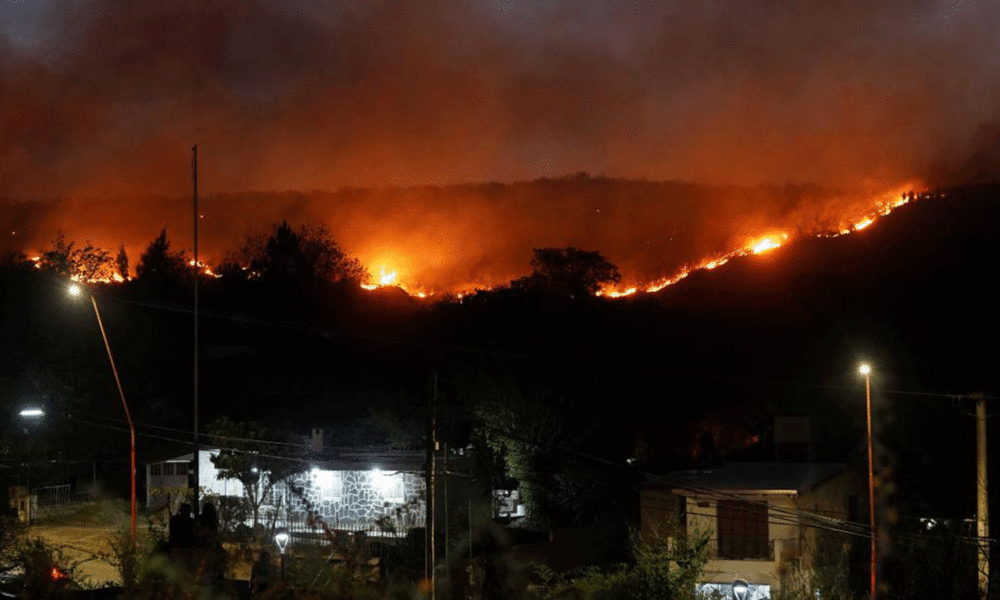 Arjantin’de orman yangını