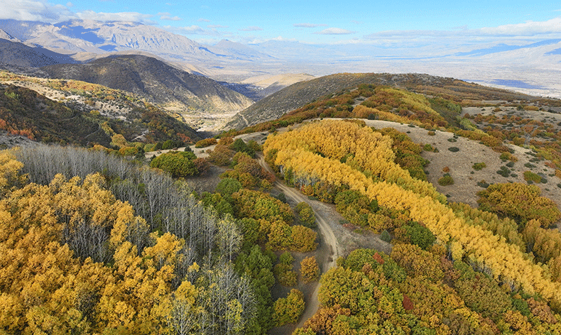 Erzincan’da hazan mevsimi güzelliği