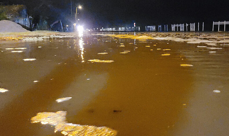 Kastamonu’da deniz kara ile birleşti