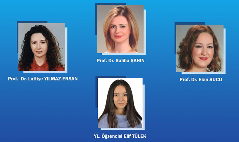 BUÜ’lü akademisyenler fonksiyonel proje