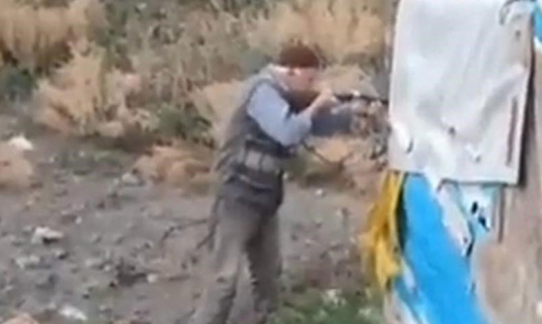 Yolun ortasında 2 köpeği vurdu