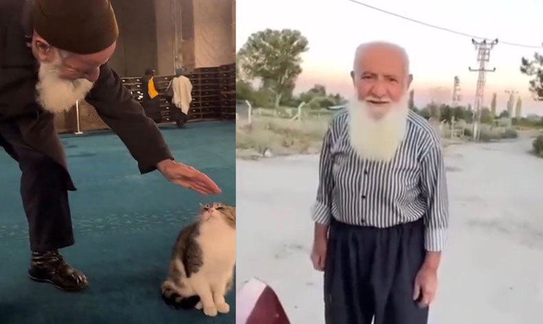 “Kediye canım kaynadı sevdim”