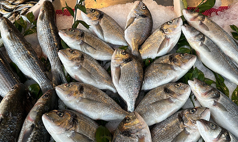 Sıcak hava Karadeniz’de balığı etkiledi