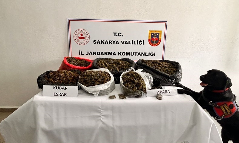 Sakarya’da 21 kilo esrar ele geçirildi: 1 tutuklama