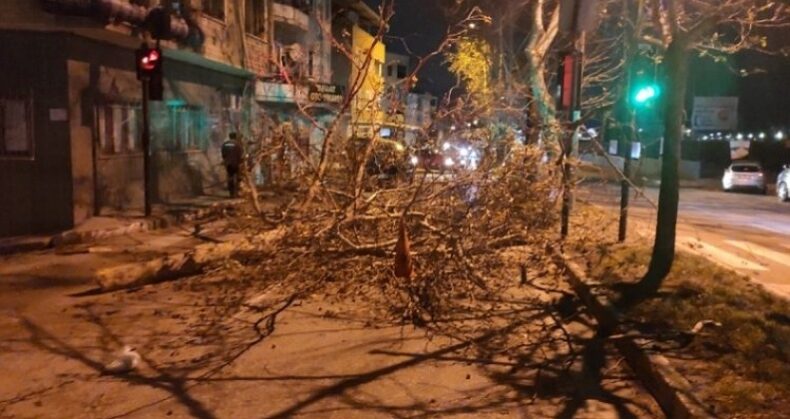 Bursa’da ağaç devrildi yol trafiğe kapandı