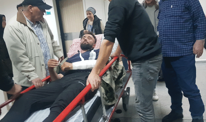 Sürü otlatırken ayı saldırısına uğradılar