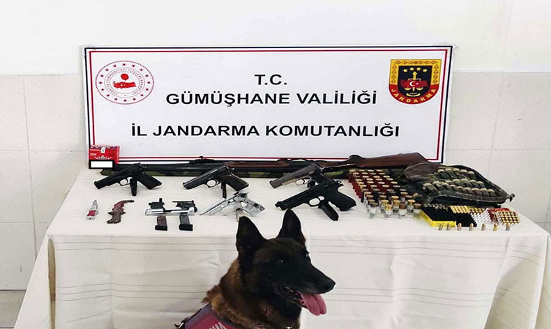 Torul’da kaçak silah operasyonu
