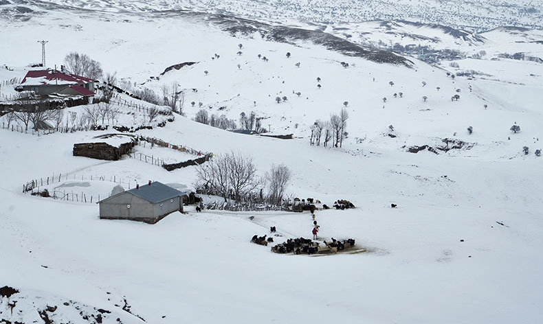 Muş’ta yüksek rakımlı köyler kara gömüldü