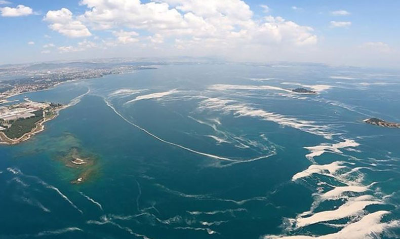 Marmara Denizi’nde korkutan görüntü