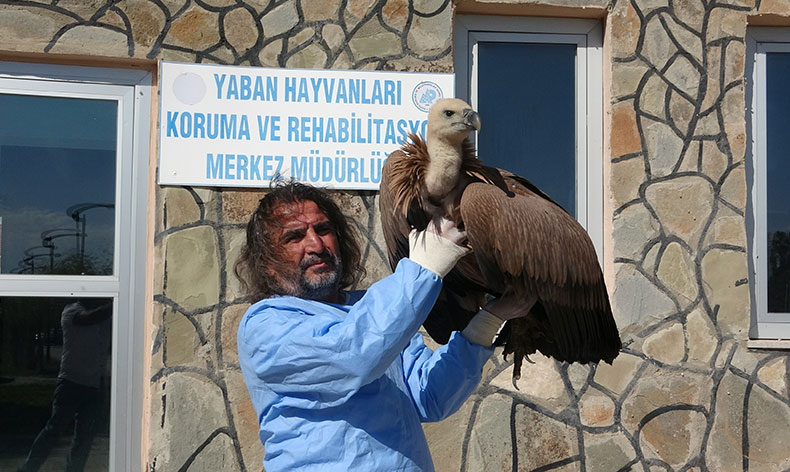 210 yaban hayvanı doğaya kazandırıldı