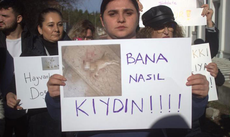 Vahşice öldürülen kedi için hayvanseverlerden tepki