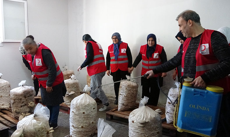 Dezavantajlı kadınlar istiridye mantarı üreterek kazanıyor