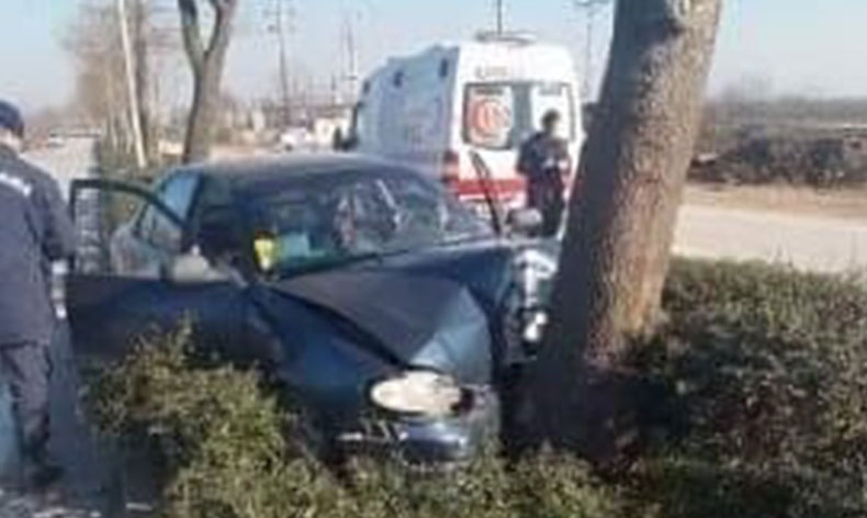 Ağaca çarptı, hastanelik oldu