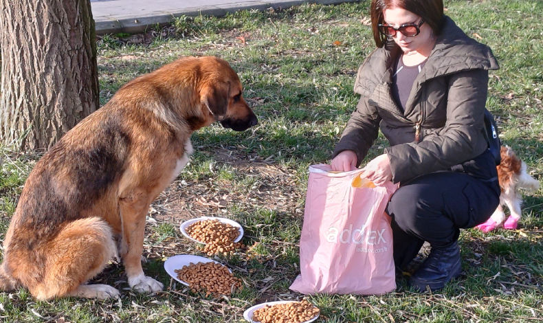 Köpeğine hediye gelen mamaları sokak hayvanlarına dağıttı