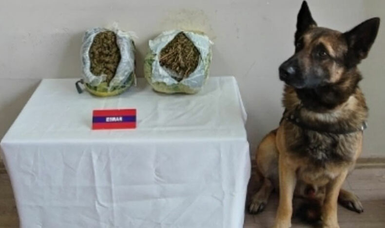 Nar kasalarından 2 kilo uyuşturucu çıktı