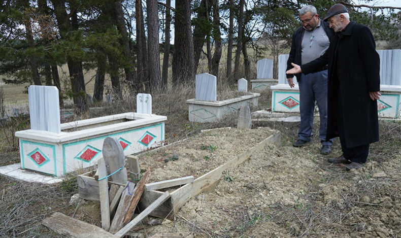 Kış uykusuna yatamayan ayılar, mezarları kazmaya başladı