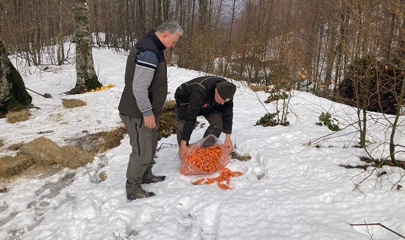 Bursa’da yaban hayvanlarına yem desteği