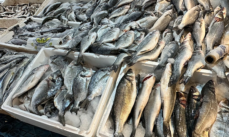 Balık tezgahlarına yoğun ilgi