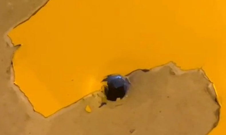 Taksi maganda kurşununa hedef oldu