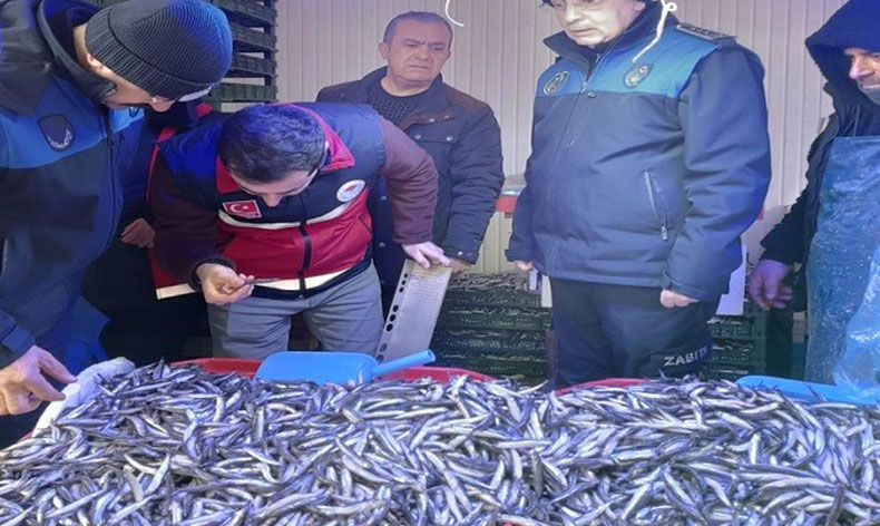 Semt pazarında balık denetimi
