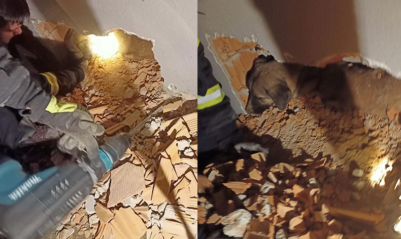 Duvar arasına sıkışan köpeği itfaiye kurtardı
