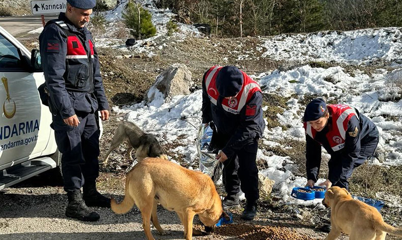 Jandarma, zorlu kış şartlarında sokak hayvanlarını unutmadı