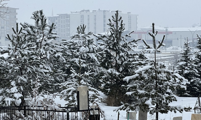Yüksekova’da kar yağışı