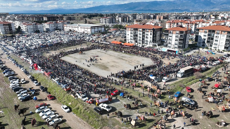 Balıkesir’de deve güreşini binlerce kişi izledi