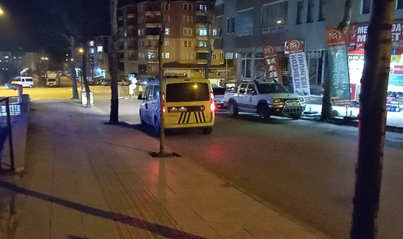 Ağabey ve kardeşin kavgası kanlı bitti